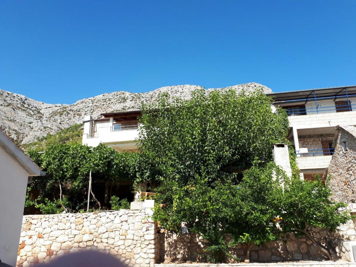 Apartments With A Parking Space Ivan Dolac, Hvar - 8753 المظهر الخارجي الصورة